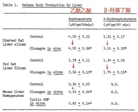 乙酰coa是什么意思