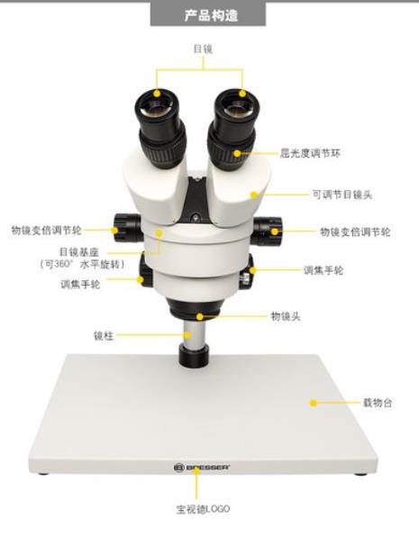 显微镜直接计数公式