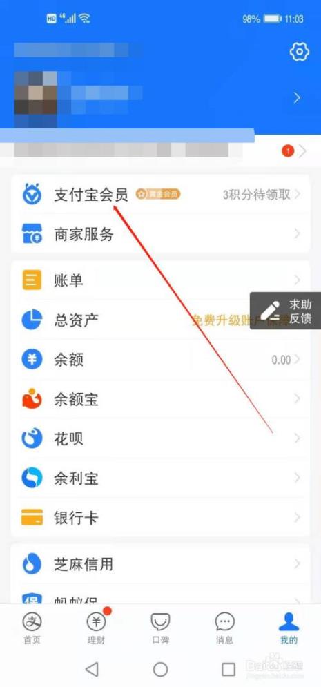 支付宝vip是什么意思