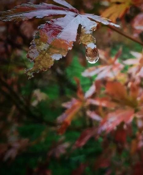 一场秋雨天渐凉的意思