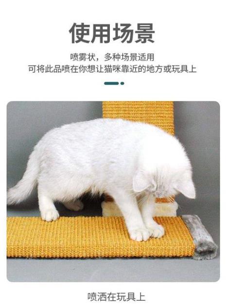 猫薄荷水怎么弄