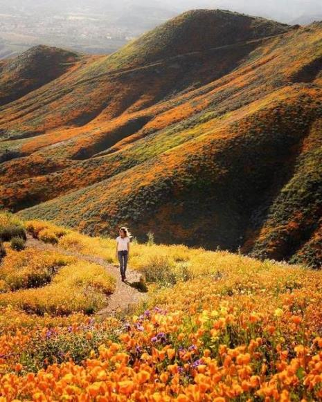 人生就是一场渐行渐远的旅程