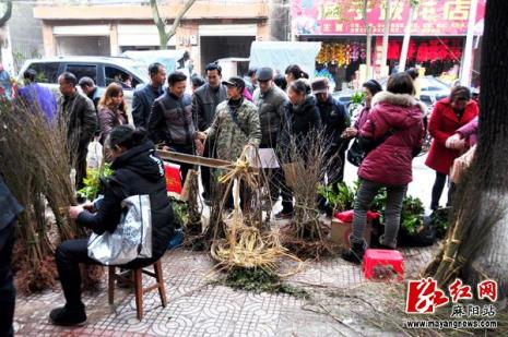 都匀市各乡镇赶集日