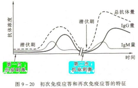 主要是第一次合作怎么回复