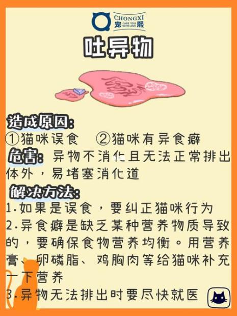 猫咪吃多乳酸菌素片呕吐怎么办