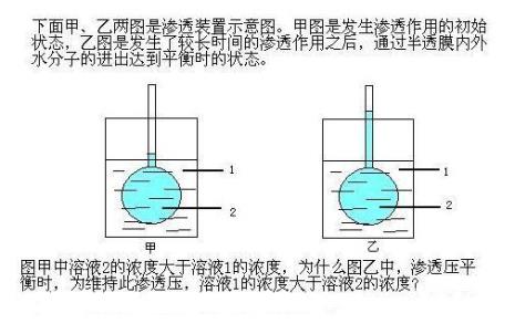 乳胶是半透膜吗