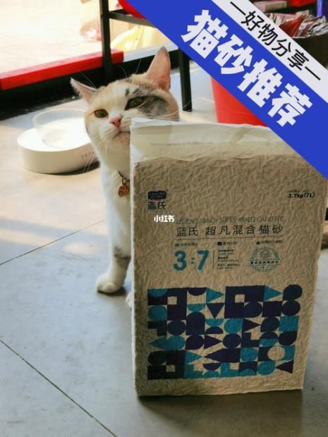 五个月大的蓝猫适合用什么猫砂