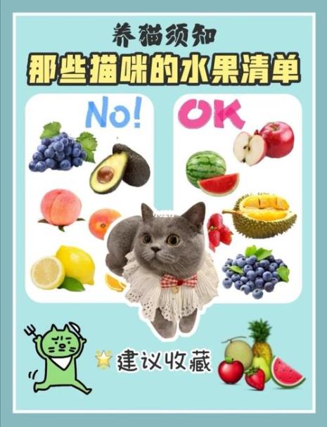 小猫喜欢吃什么~水果可以吗