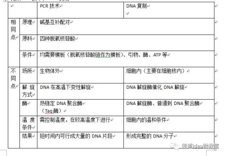 在PCR扩增实验中应注意什么