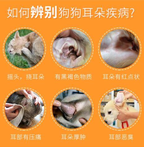 猫咪中耳炎用什么药