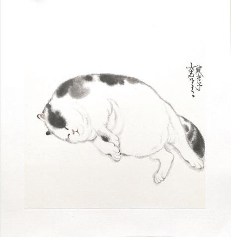 照猫画虎还是照虎画猫