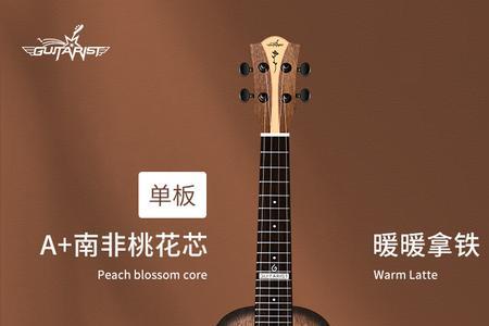 guitarist吉他什么牌子