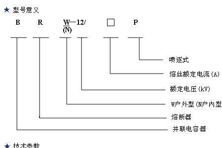 RP代表什么熔断器