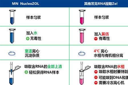 adaptor引物是什么