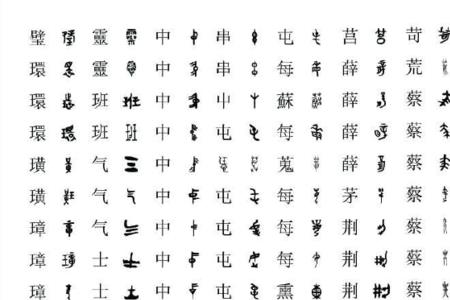 位于金文和小篆中间的字体