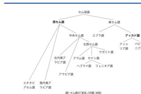 闪米特族是少数民族吗