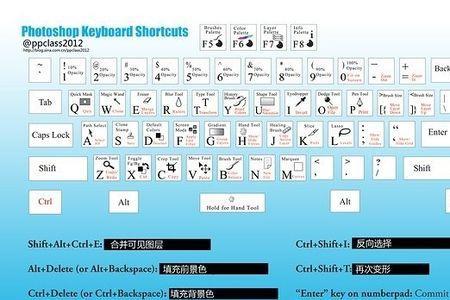 ps液化撤回快捷键