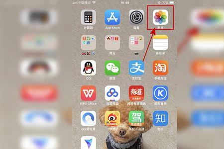 苹果手机相册怎么下载