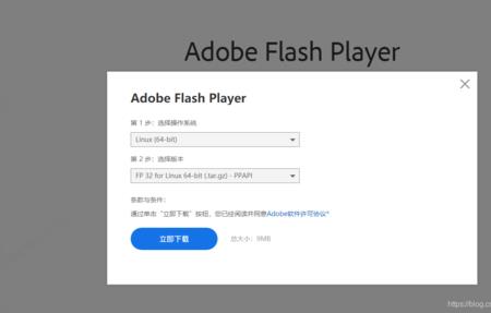 AdobeFlashPlayer下载后怎么用