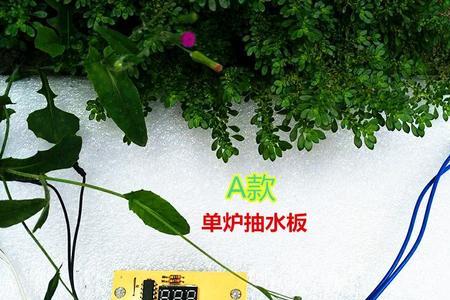 电茶炉继电器没反应