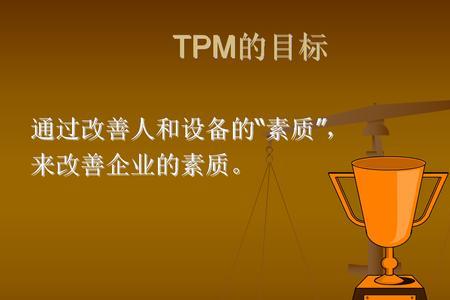 TPM是什么意思