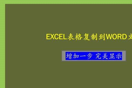 word中表格文字怎么到excel中分行显示