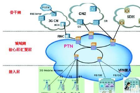 ptn是什么意思