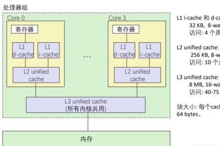 一级高速缓存由什么组成