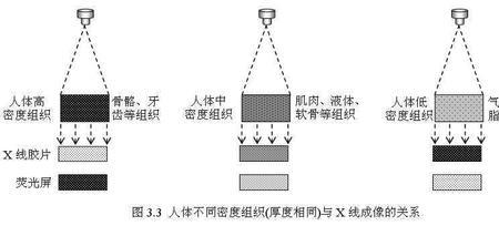 感光反应是什么意思