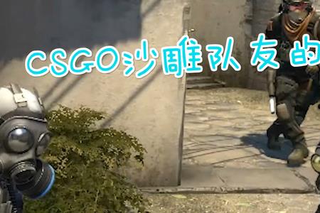 csgo队友不说话