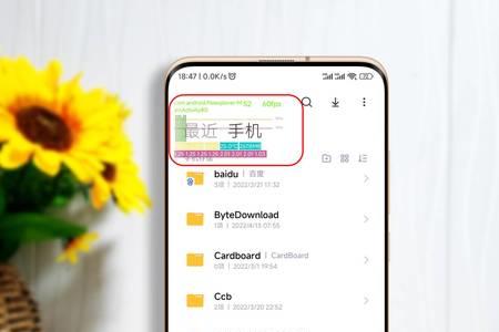 miui13开发者选项有什么