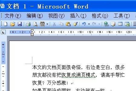 Word怎么删除其中一页空白