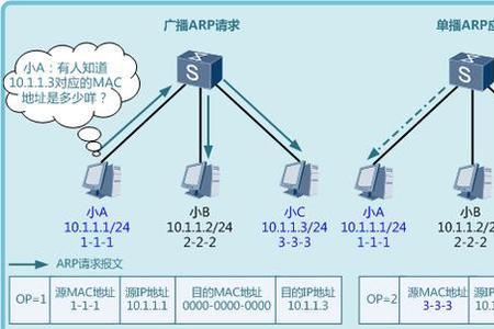 高速缓存区的arp表是人工建立的