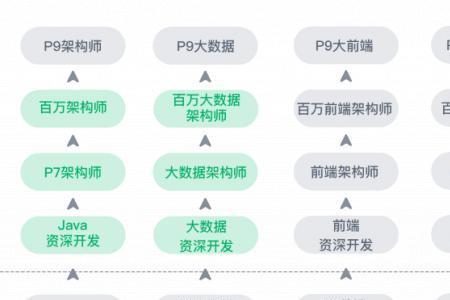 IT界程序员大多毕业于哪些学校