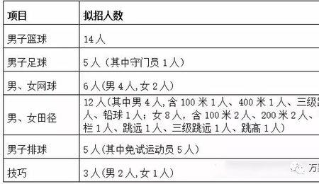 体育射箭单招本科大学有哪些