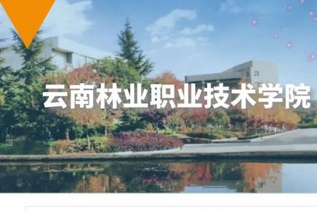 云南传媒生可以报什么大学