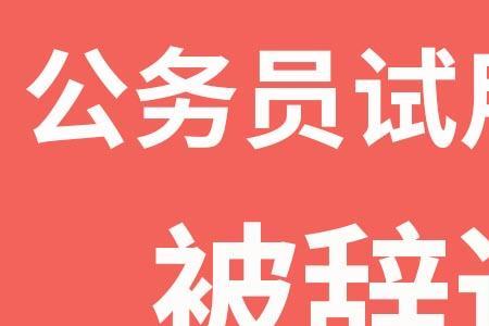 公务员辞退还能做大学老师吗