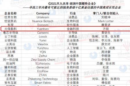 元保数科科技有限公司怎样