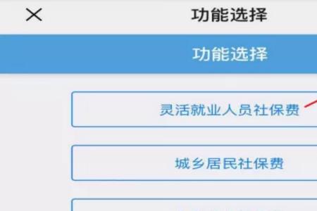 保定首次办理灵活就业流程