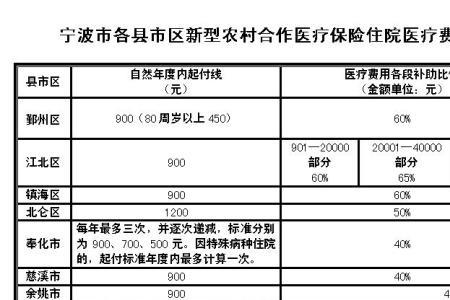 农村社保有多少年了