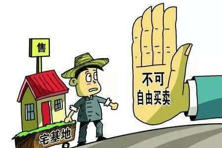 宅基地委托律师申请有用吗