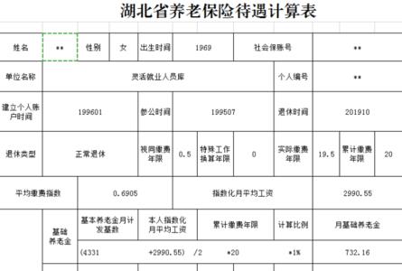 湖南灵活就业交的100%包含哪些