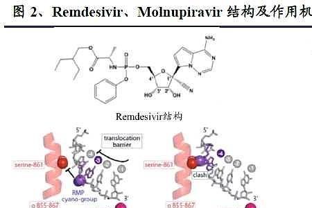 rna聚合酶在基因工程的用途