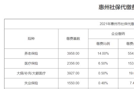 社保个人缴费基数什么意思