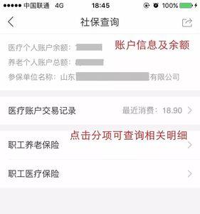 济南社保个人账户怎么查询