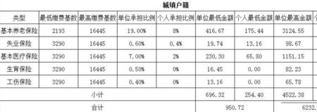 农村养老保险缴费查询个人账户