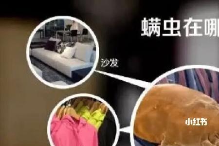 不除螨虫会有什么后果