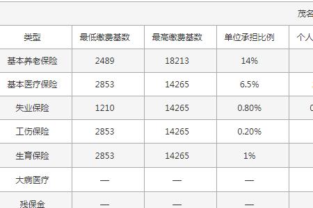 公司社保超过30人要缴纳什么