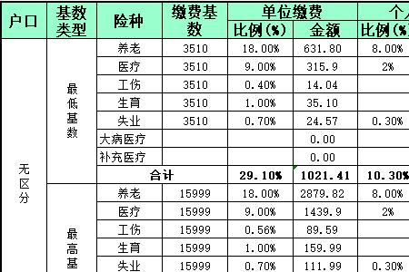 21年社保缴费最低基数