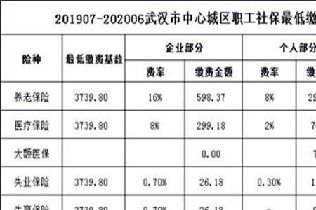 武汉居民社保一年交多少钱